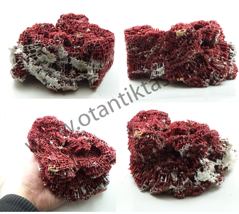 Doğal Taş Mercan Taşı